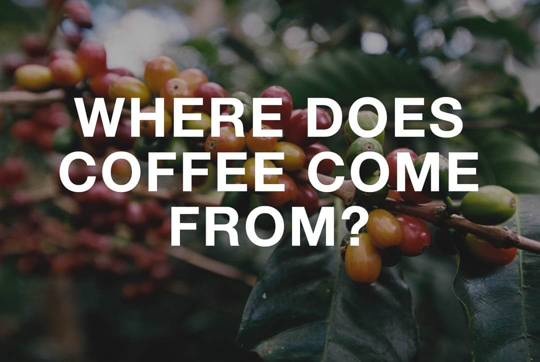 Our Coffee