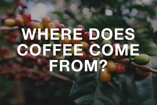 Our Coffee