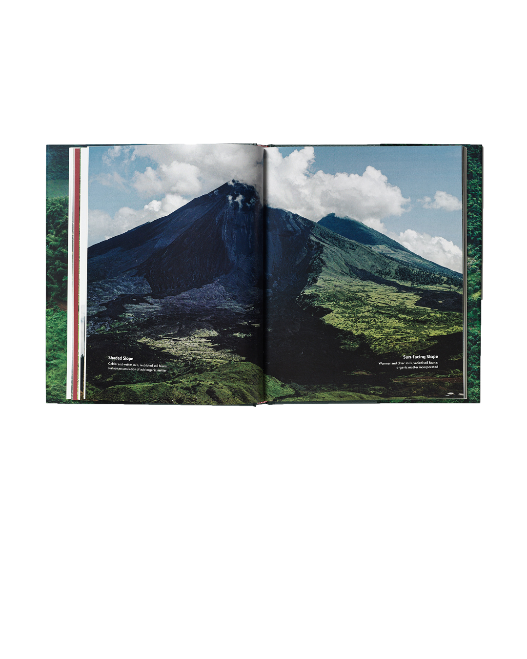 Terroir | Coffee From Seed To Harvest Book